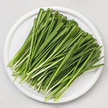 곰곰 국내산 손질부추, 100g, 1개