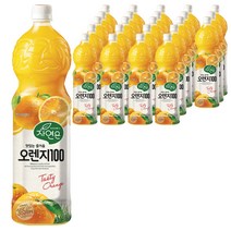 자연은 365일 오렌지 100 주스, 1500ml, 24개