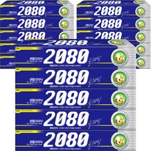 2080 클래식 치약, 170g, 15개