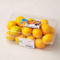 곰곰 GAP 고당도 제주 감귤, 1.5kg, 1개