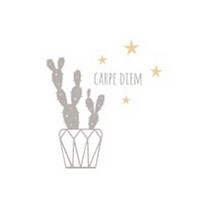 북유럽선인장A, 라이트그레이