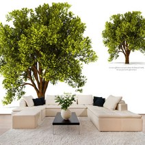 프렌체 내츄럴트리 유니크벽지, 혼합 색상