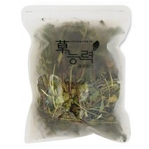 초능력 곰보배추 차, 100g, 1개