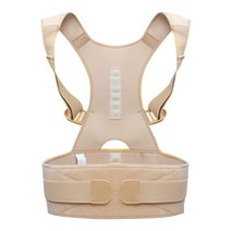 HERC 파워백 보호대 베이지 L~XL, 1개