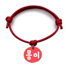 펫츠룩 굿모닝 레드 반려동물 목걸이 S + 알미늄원형 팬던트 M, 레드(몽이), 1개