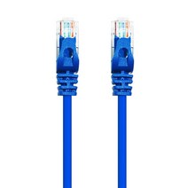 AVIVE 고급형 UTP 3m CAT6 랜선 케이블, 2개입, BLUE