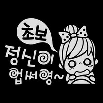 제제데코 정신이 업써영 초보운전스티커
