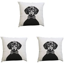 이코디 블랙아마존 CV 쿠션커버 3p