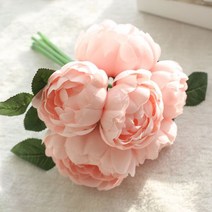 블럭마트 인테리어소품 조화 모란장미 6p, 슈가핑크