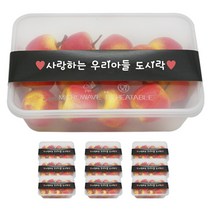 도나앤데코 PP내열 도시락용기 한칸 10p + 띠지스티커 블랙 사랑하는우리아들 도시락 10p, 1세트