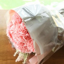 아스파시아 조화 오마쥬 카네이션 부케, 핑크