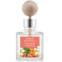 바이향 리프레싱 차량용 방향제 100ml, 캐모마일 그레이프프릇, 1개