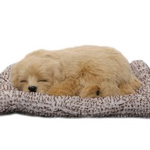 어바인클래스 잠자는인형 뭉뭉이와 냥냥이 골든리트리버, 1개