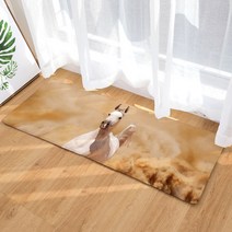 이지웜 지브라 발매트, A-13