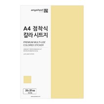 애니시트 A4 게시판 점착식 칼라시트지 50p, 스킨, 1개