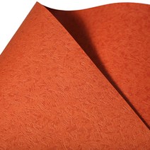 삼원 에코클로스지 S패턴 120g 4절 13구리색, 20개입