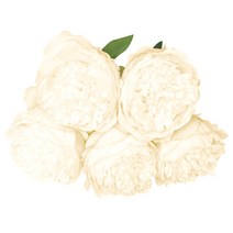 마켓감성 조화 다섯송이 모란, 타입6