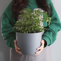 모리앤 물주는 시기를 알수있는 플랜트 눈금화분 원형, 그레이