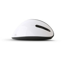 TG삼보 HEALING 인체공학 버티컬 무선마우스, TG-TM618G, 화이트