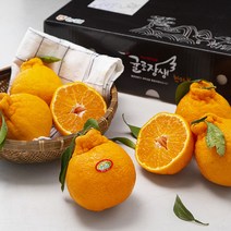 농협 제주 한라봉, 3kg(10~15입), 1박스