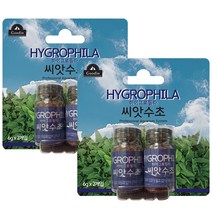 구딘 하이그로필라 중경 씨앗수초 6g, 4개