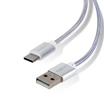 넥스트 USB to 타입C 고속충전 데이터 케이블 30cm NEXT-1532C, 0.3m, 실버