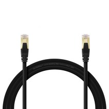 인터넷선 기가 랜케이블 CAT.8 SFTP 40Gbps 10m, 블랙, 1개
