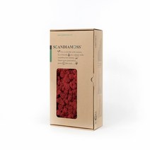 스칸디아모스 이끼 RM500 레드 500g, 1개