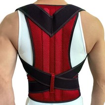 휴스퍼트 자세 벨트 레드 M SA210, 1개