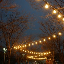 스트링월드 스트링 라이트 줄조명 10M 10소켓 (블랙) + LED전구 10W 전구색 10p 세트, 전등선(블랙), 벌브(전구색)