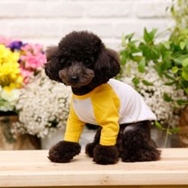 펫디자인 라인 나그랑 강아지 티셔츠, 옐로우