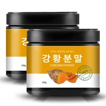 올바른습관 강황분말 250g x 2p + 계량스푼, 1세트