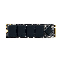 렉사 NM100 M.2 2280 SATA III SSD, 512GB