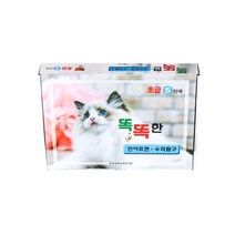 똑똑한 언어표현 수리탐구 초급 5단계 5세 전20권 세트, 중앙영재교육연구원
