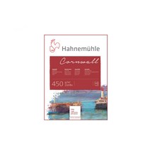 하네뮬레 콘월 수채화지 황목 raugh 10매 450g, 1개