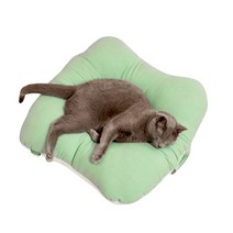 페스텝 고양이 마약방석, 민트