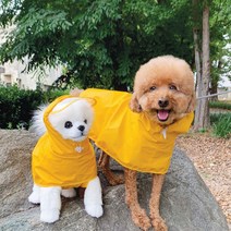 유앤펫 반려동물 아웃도어 판초 우비 레인코트, YELLOW