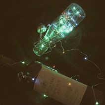 빛나라닷컴 LED 와이어 전구 50구, 칼라