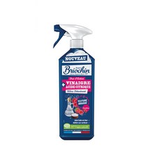 브리오신 폼타입 식초 라즈베리 세정제, 1개, 750ml