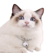 예보들 고양이 방울 목걸이, 화이트