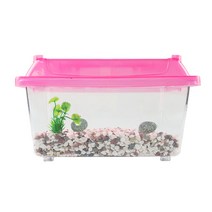 로라펫 거북이 키우기 세트 클린 채집통 랜덤발송 XL, 1세트