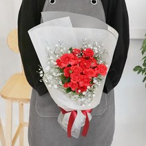 블뤼엔 생화 꽃다발 미니장미 30송이 S, 레드