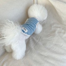 매그독 강아지 치즈 스트라이프 린넨 민소매, 스카이블루