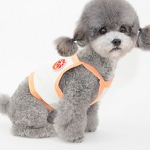 펫띠 과일자수 크롭나시 강아지 티셔츠, 오렌지