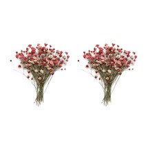 플라레터 체크스토리 압화 안개꽃줄기 2p, 레드