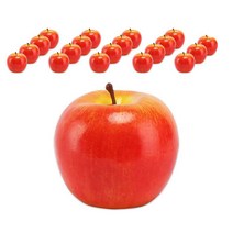 사과모형 인기순위