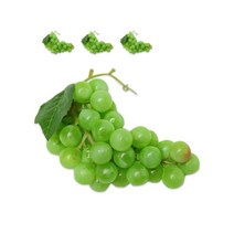 대한몰 과일 푸드 음식 모형 컨셉 촬영 인테리어 소품 4p, 029 포도 그린