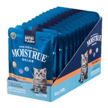 동원 뉴트리플랜 고양이 키튼 모이스트루 주식파우치 12p, 생선, 960g, 1세트