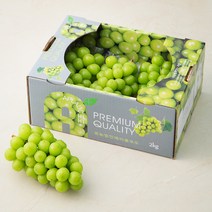 가족 GAP 인증 상주 샤인머스캣, 1.5kg, 1박스