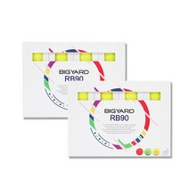 빅야드 골프공 유광 2피스 RB90 24p, 옐로우, 2세트